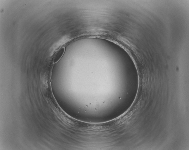 X0000067901451200604201322