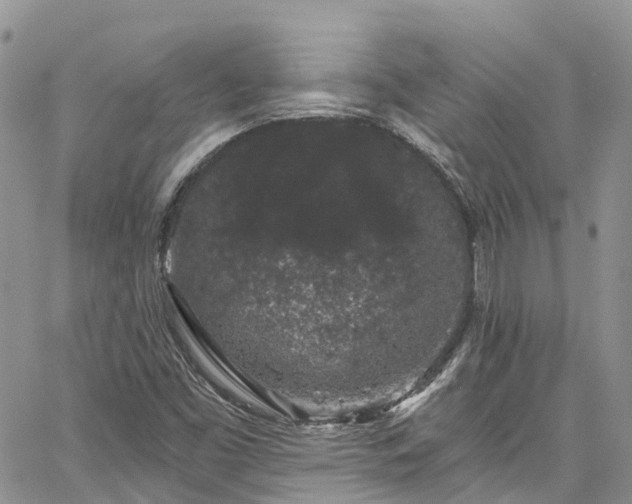 X0000067901453200604201322