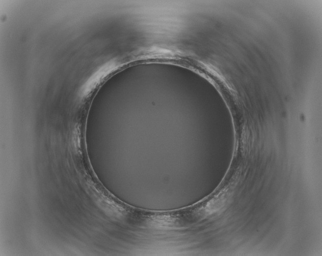 X0000067901455200604201322