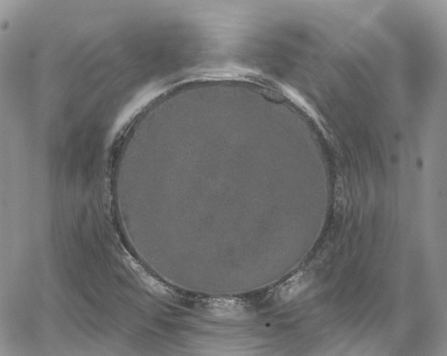 X0000067901456200604201322