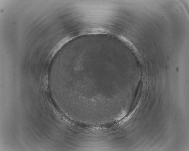 X0000067901457200604201322