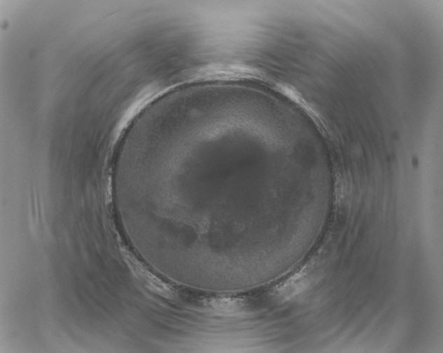 X0000067901459200604201322