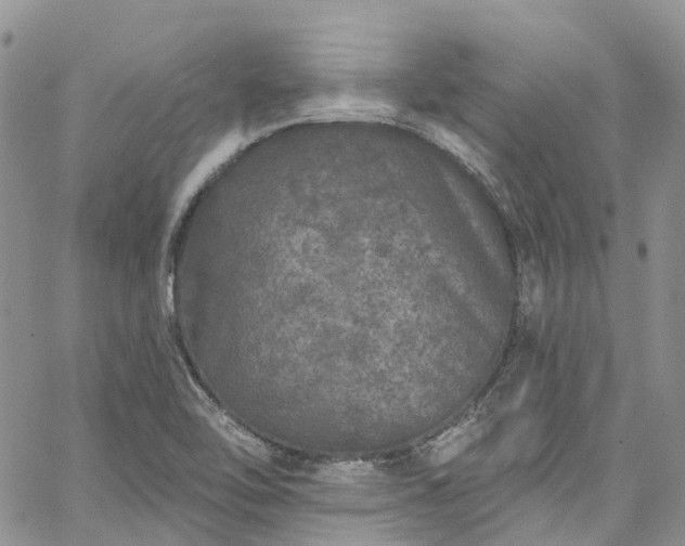 X0000067901462200604201322