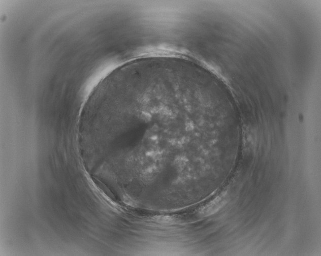 X0000067901463200604201322