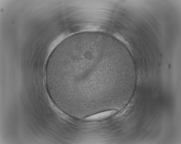 X0000067901467200604201322