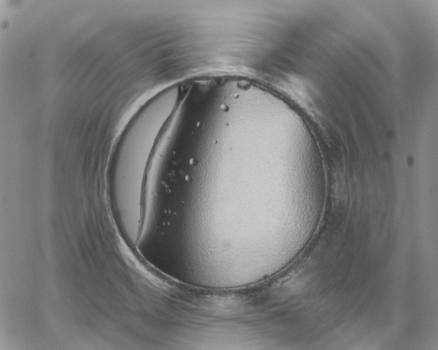 X0000067901468200604201322