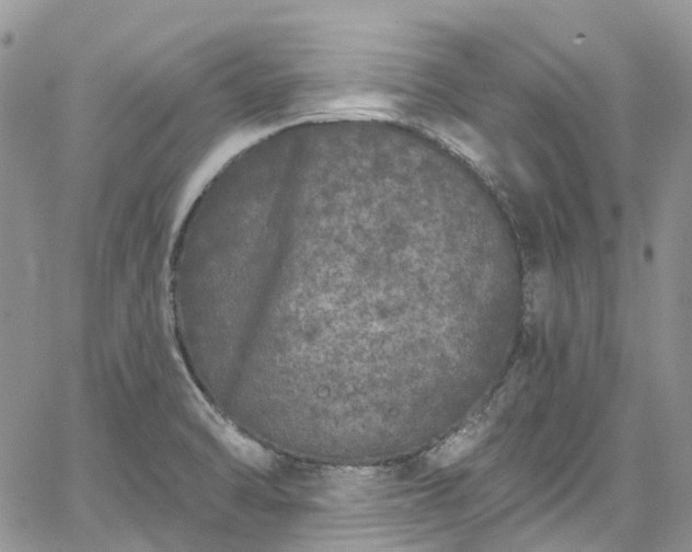 X0000067901470200604201322