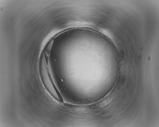 X0000067901472200604201322