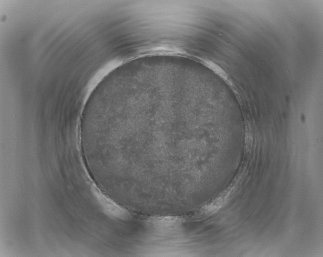 X0000067901474200604201322