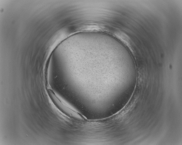 X0000067901475200604201322