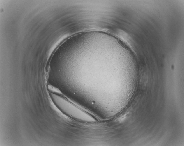 X0000067901476200604201322