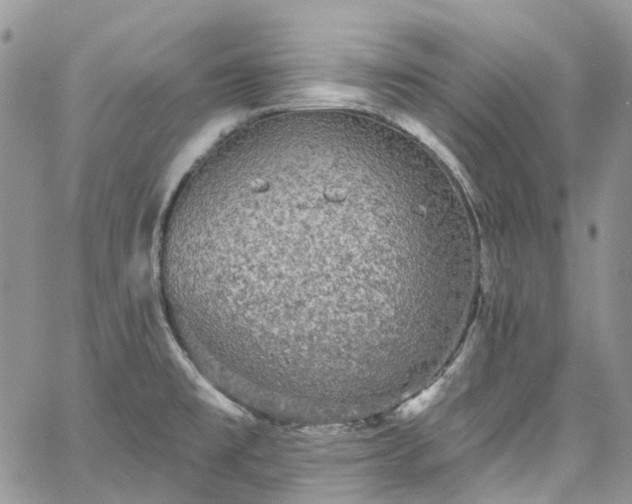 X0000067901477200604201322