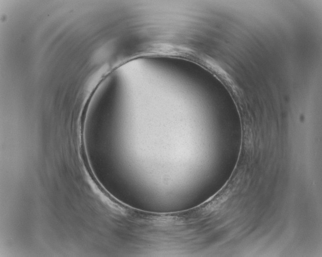 X0000067901479200604201322