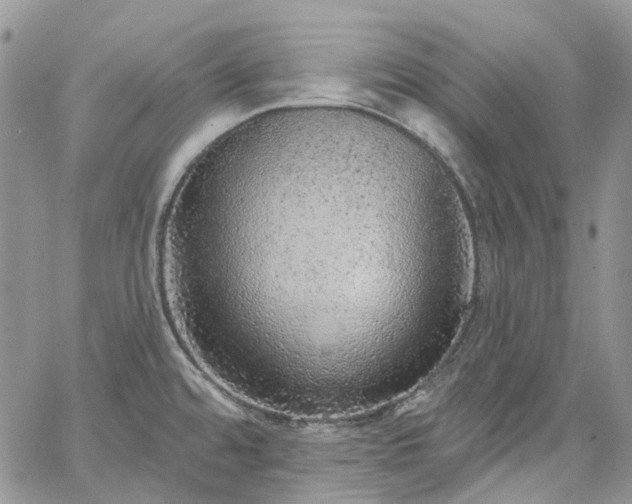 X0000067901480200604201322