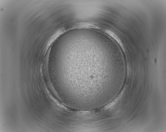 X0000067901481200604201322