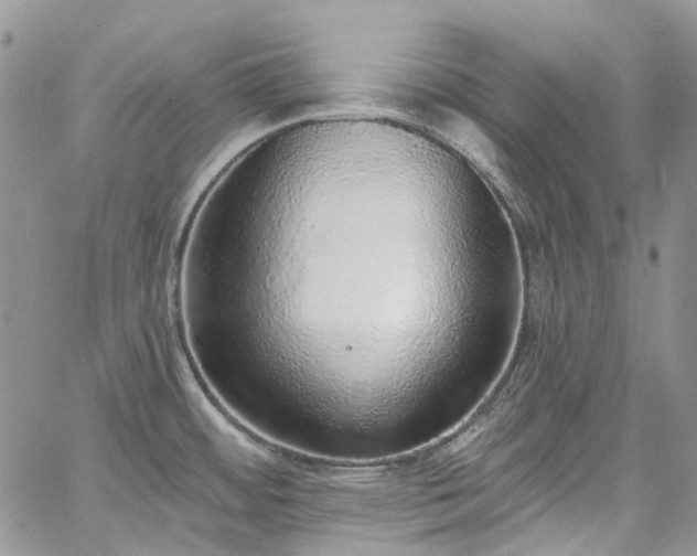 X0000067901484200604201322