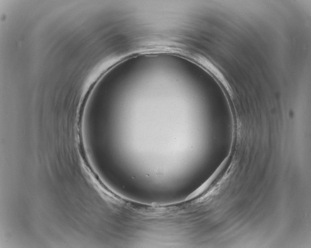 X0000067901485200604201322