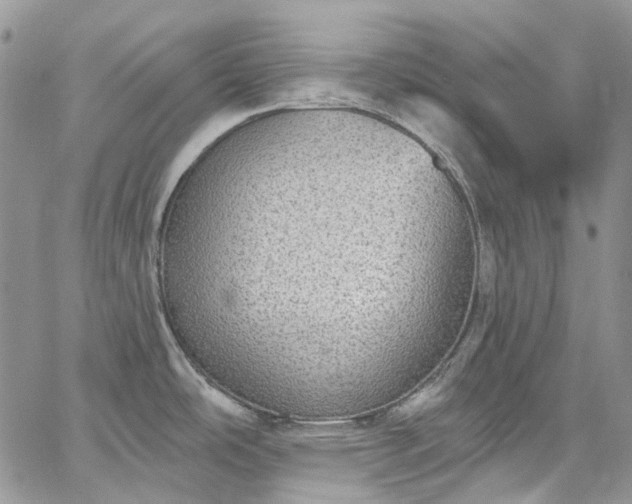 X0000067901486200604201322