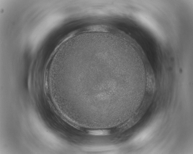 X0000067901487200604201322