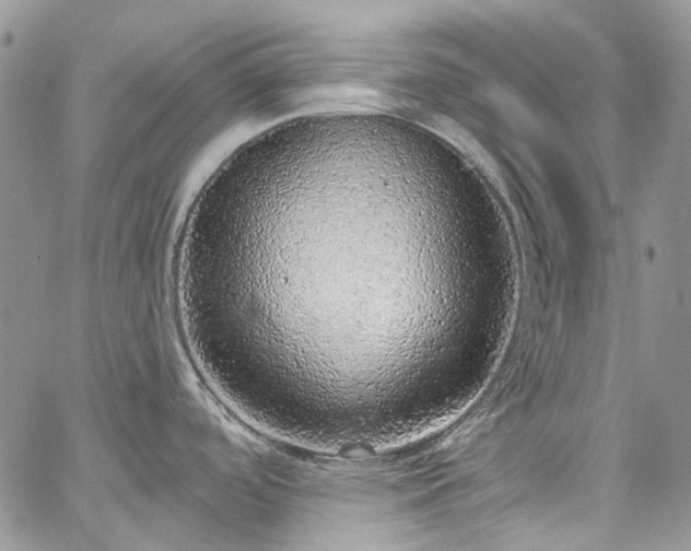 X0000067901488200604201322