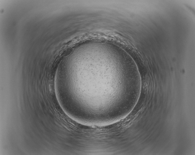 X0000067901490200604201321