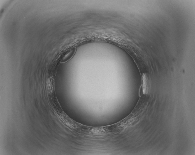 X0000067901491200604201321