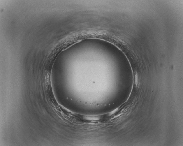 X0000067901492200604201321