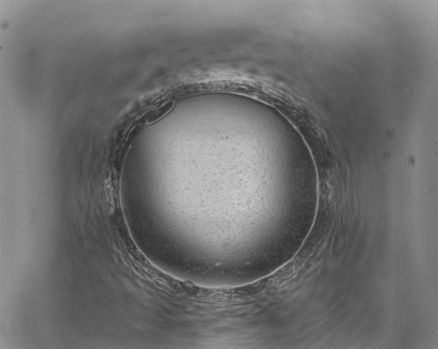 X0000067901493200604201321