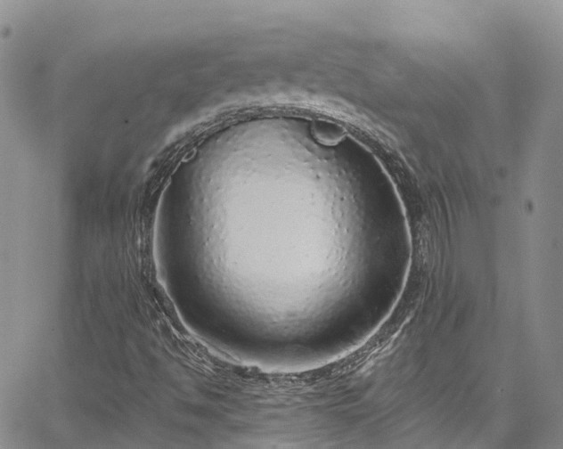 X0000067901494200604201321