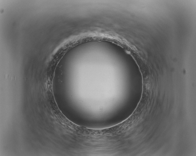 X0000067901495200604201321