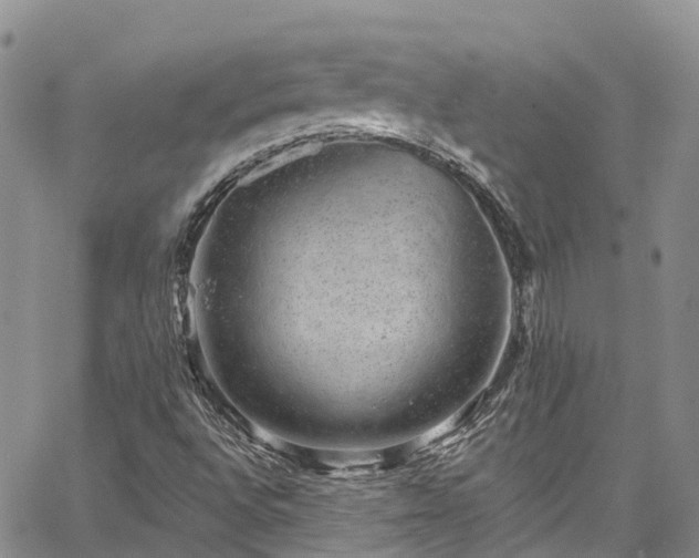 X0000067901496200604201321