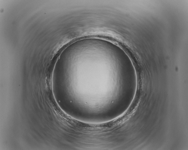 X0000067901497200604201321