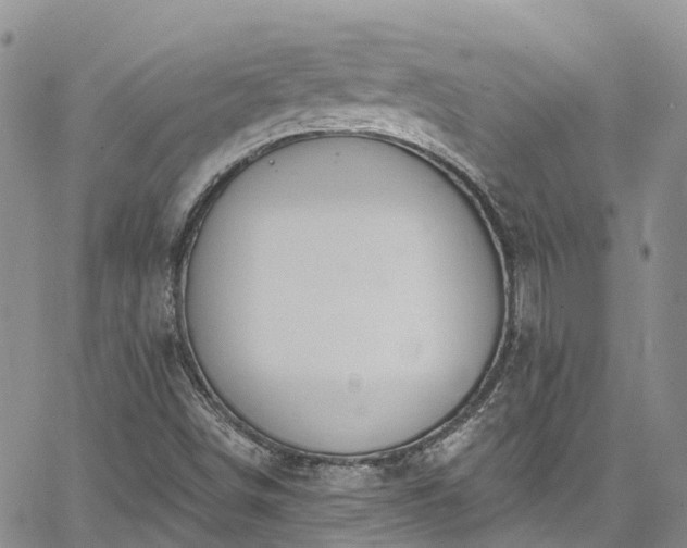 X0000067901498200604201321