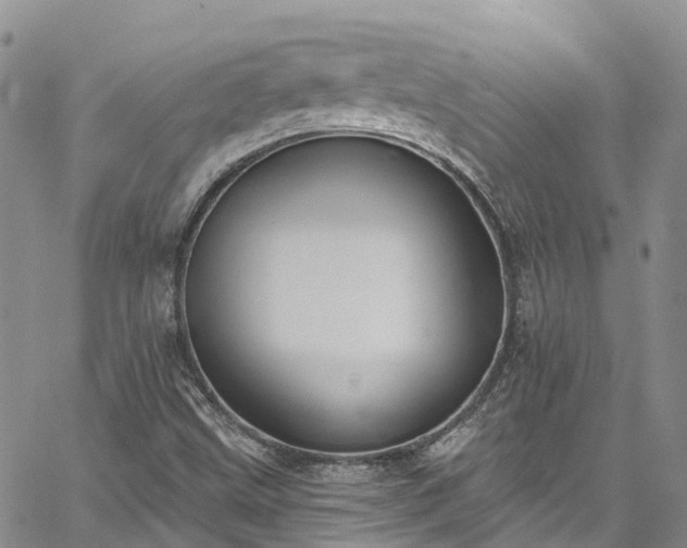 X0000067901499200604201321