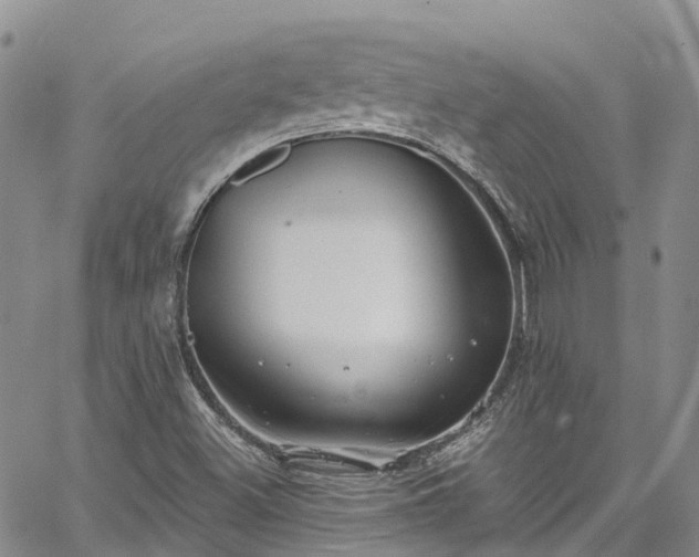 X0000067901500200604201321