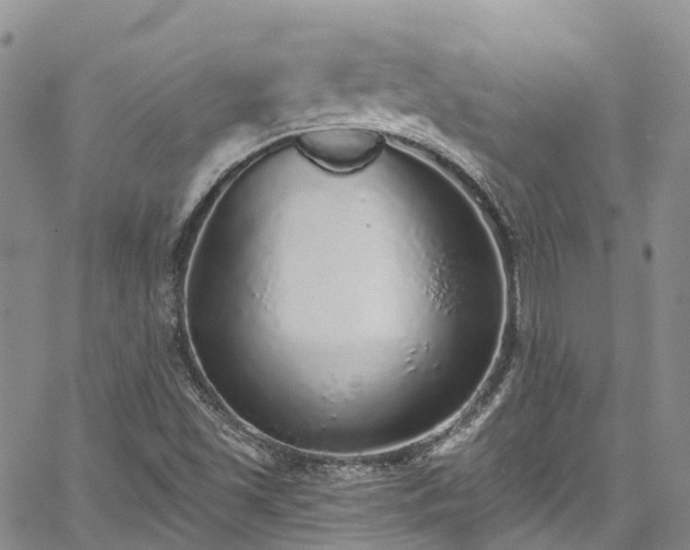 X0000067901501200604201321