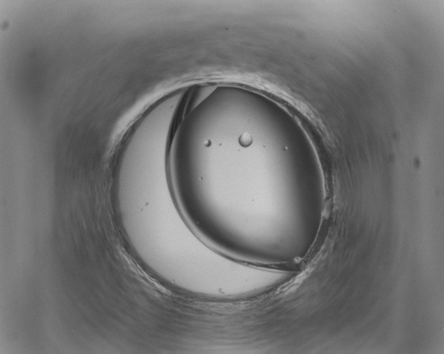 X0000067901502200604201321