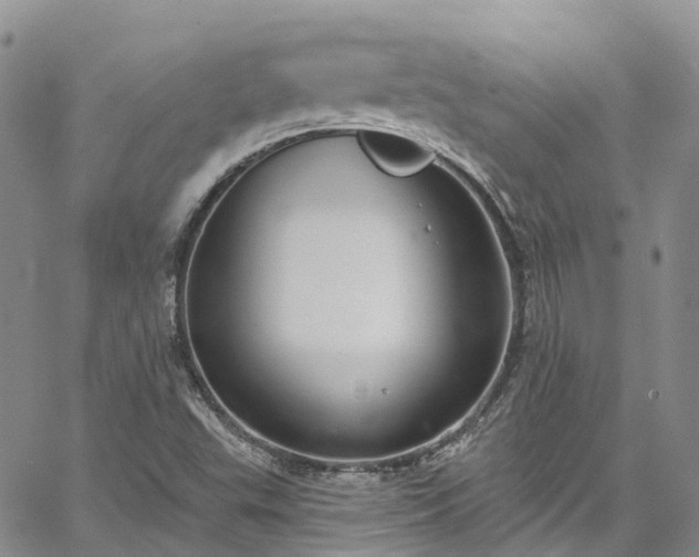 X0000067901503200604201321