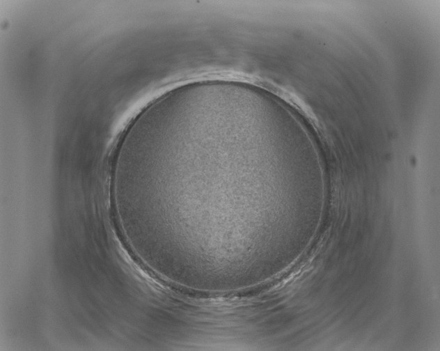 X0000067901504200604201321