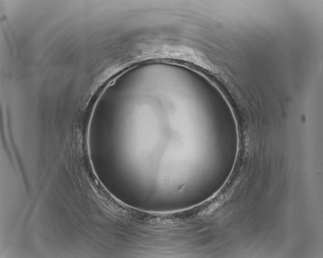 X0000067901505200604201321