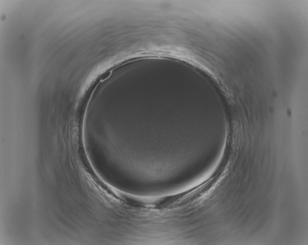 X0000067901506200604201321