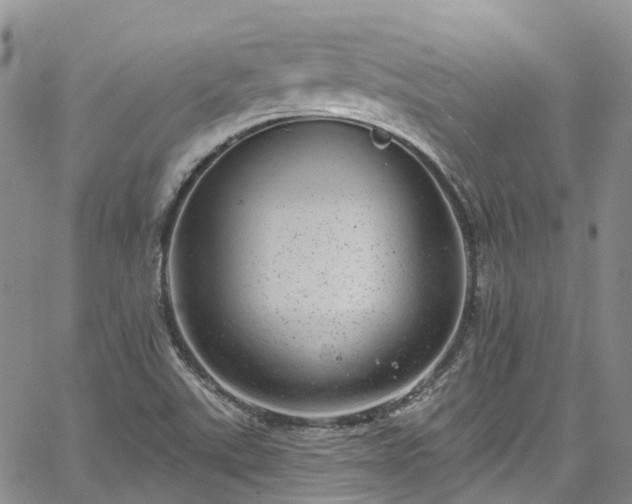 X0000067901507200604201321