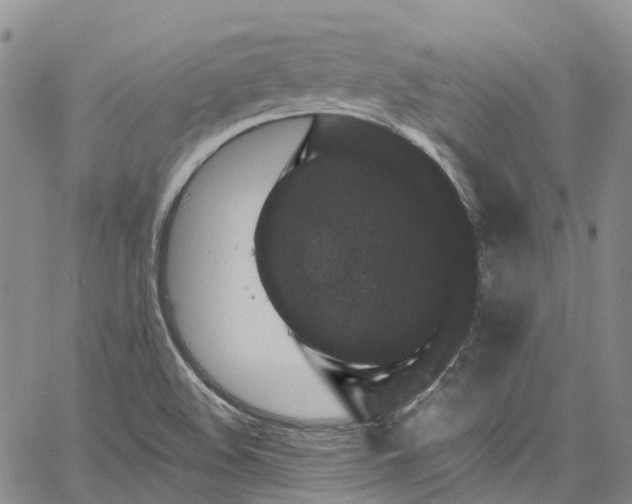 X0000067901508200604201321