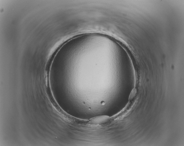 X0000067901509200604201321