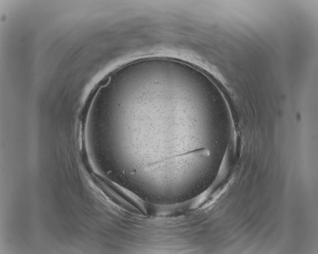 X0000067901510200604201321