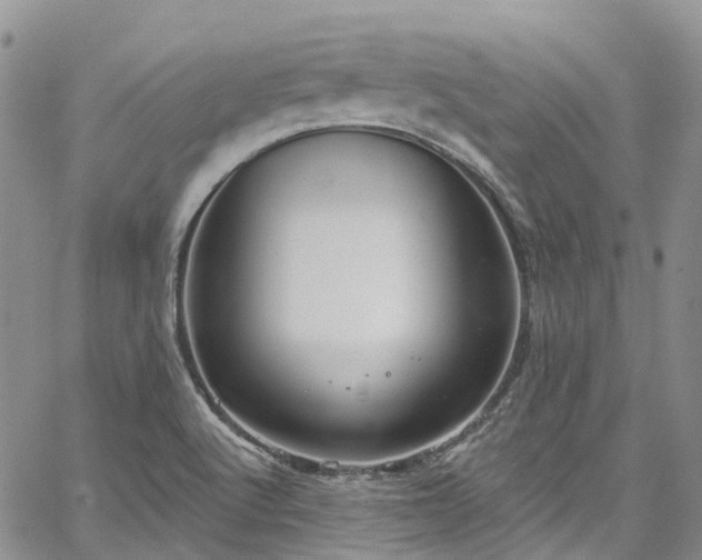 X0000067901512200604201321