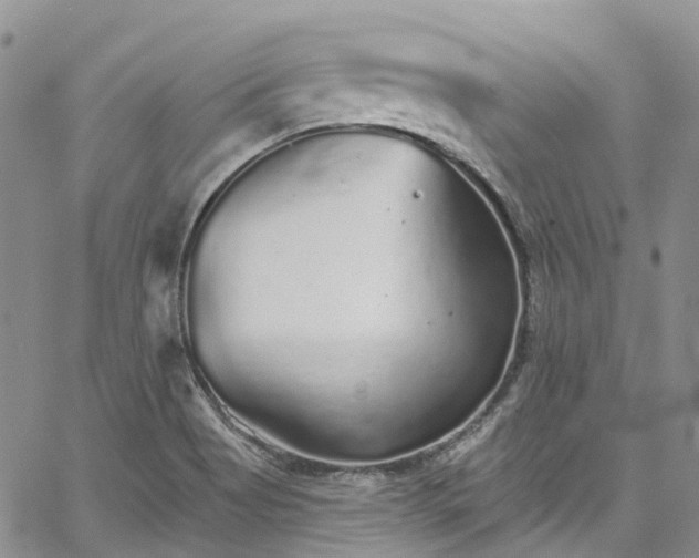 X0000067901513200604201321