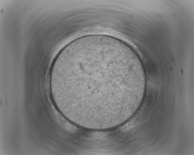 X0000067901514200604201321