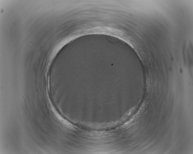 X0000067901515200604201321