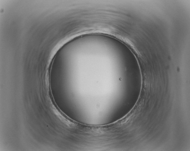 X0000067901516200604201321